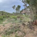  1230m2 - 1