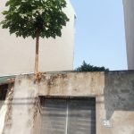  50m2 - 4