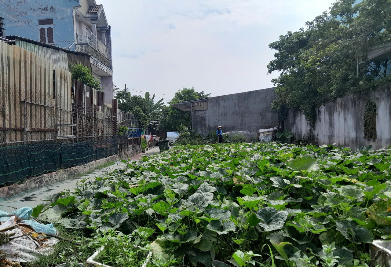 Đất Lô Góc 188m2 có 6 tỷ x Mặt tiền Đông Thạnh Hóc Môn Hồ Chí Minh.