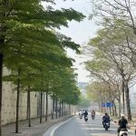  60m2 - 1
