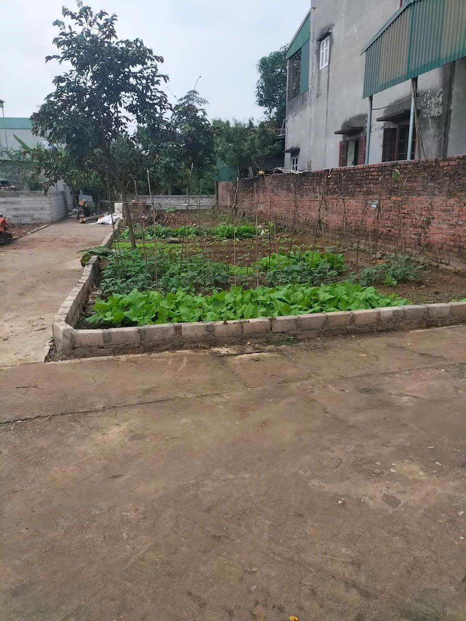 ĐẤT ĐẸP - GIÁ TỐT - Vị Trí Đắc Địa Tại Thôn Kim Bông, Xã Tân Xã, Huyện Thạch Thất, TPHN