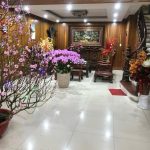  60m2 - 3