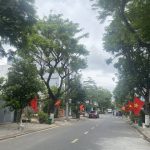 126m2