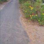  5000m2 - 3