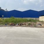  100m2 - 3