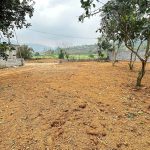  600m2 - 4