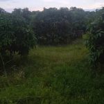  4013m2 - 4