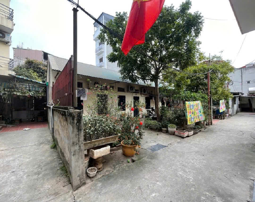 56m2