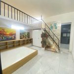  56m2 - 4