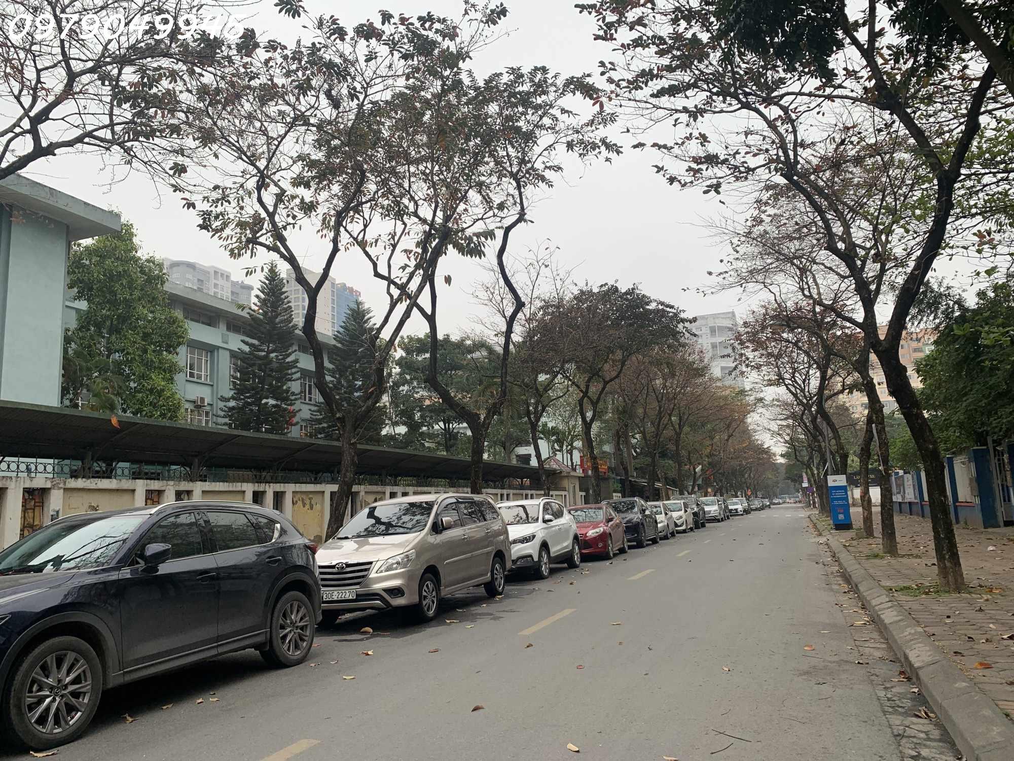 CƠ HỘI VÀNG–TÒA NHÀ 9 TẦNG THANG MÁY MẶT PHỐ HỒ TÙNG MẬU–VỈA HÈ RỘNG–DÒNG SẢN PHẨM CỰC HIẾM–CHỈ 46 TỶ!