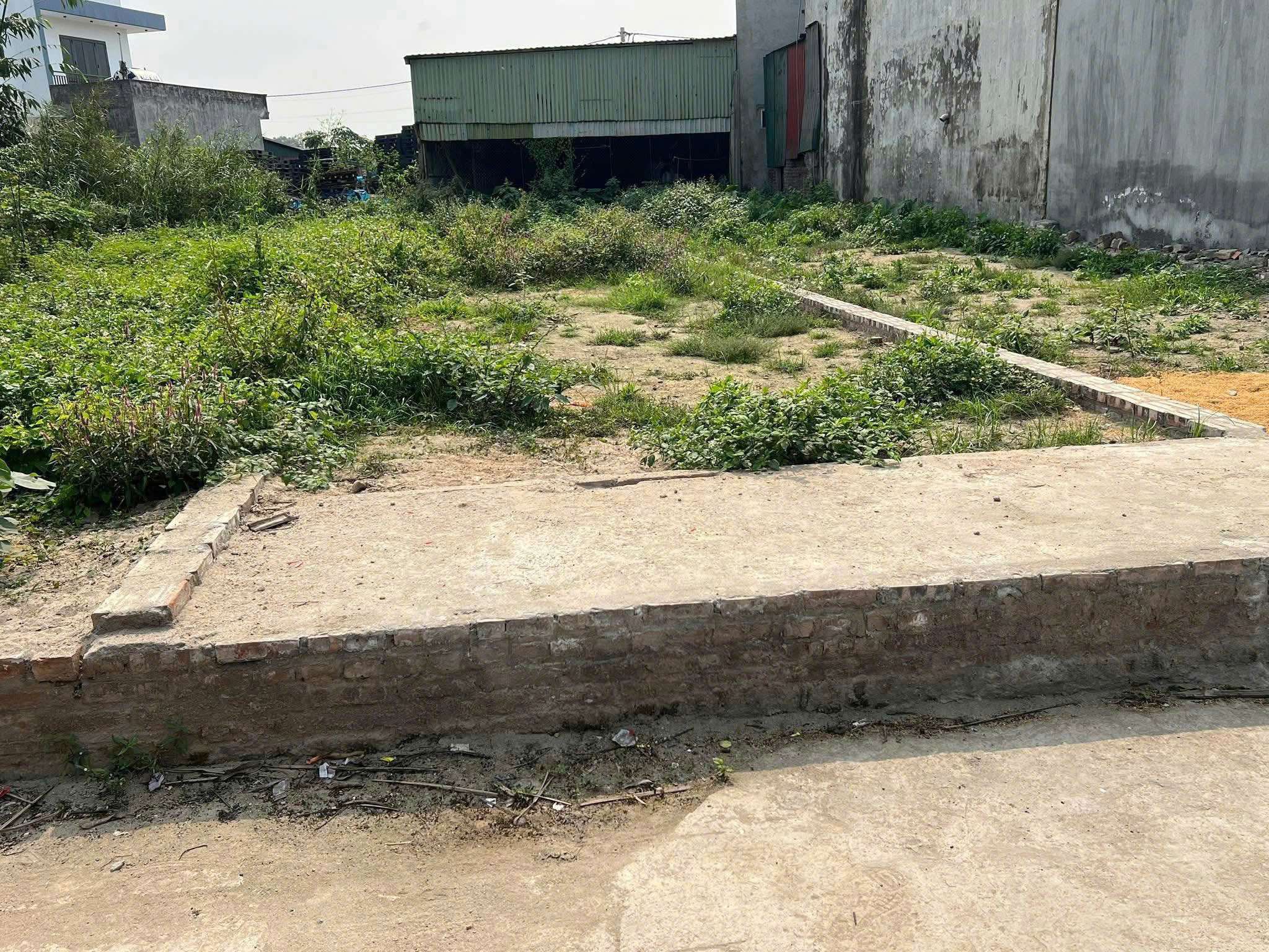 100M TT QUANG MINH,3X TRIỆU/M,FULL THỔ CƯ,GIÁ ĐẦU TƯ,IB CHÍNH CHỦ