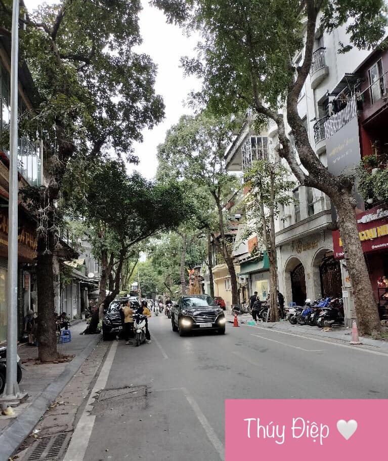 MẶT PHỐ NGUYỄN BỈNH KHIÊM - HAI BÀ TRƯNG - 156.4m² - MẶT TIỀN 7.1m - GIÁ BÁN 89 TỶ.