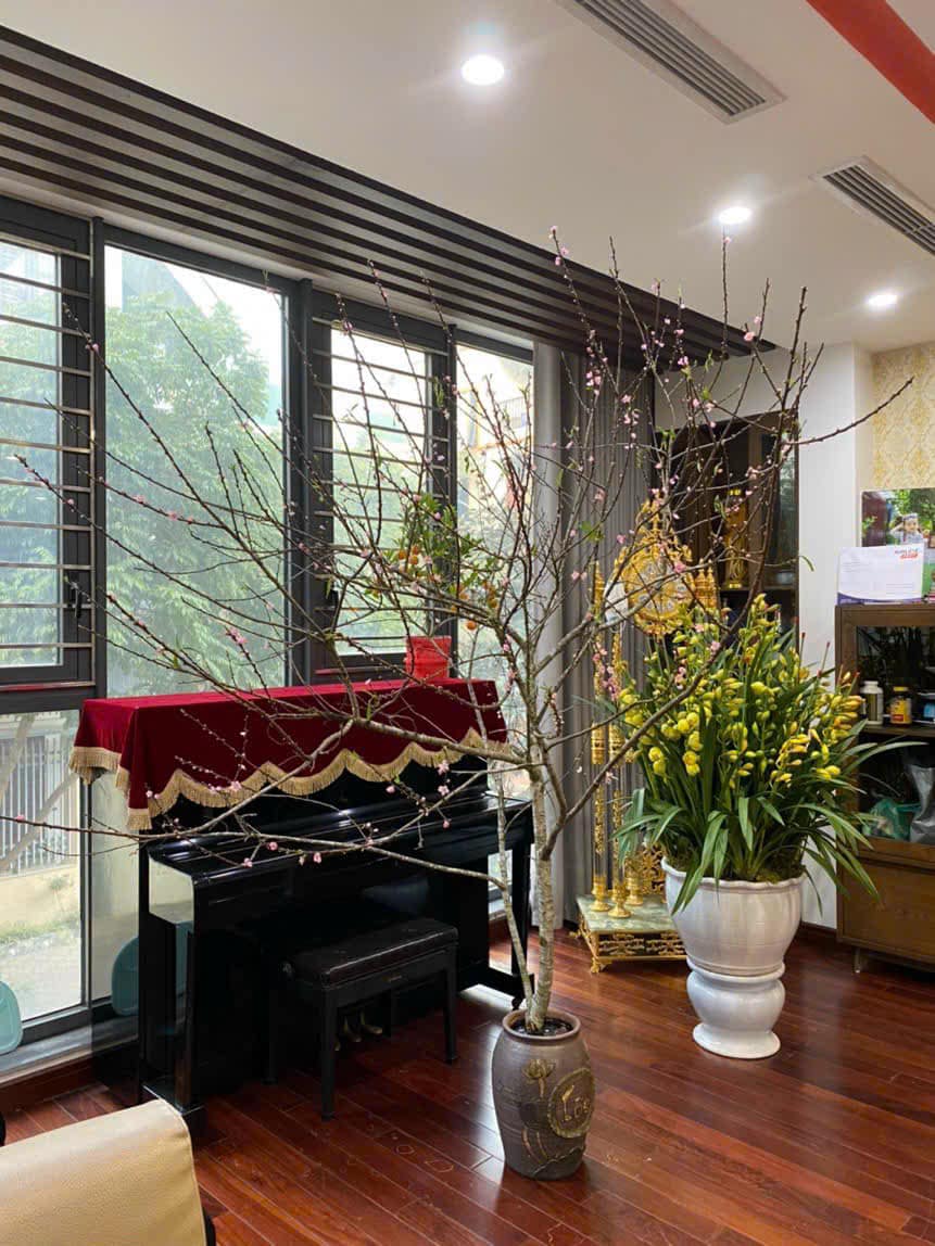 SIÊU VIP LIỀN KỀ MẬU LƯƠNG- KIẾN HƯNG- HÀ ĐÔNG- 66M2 7 TẦNG