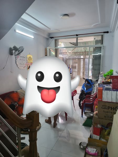 Nhà Hẻm Ôtô Đường Ngô Quyền Quận 10 Phường 5.