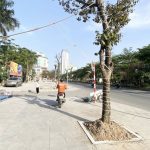  120m2 - 1