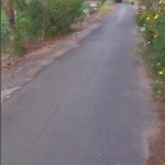  5000m2 - 6