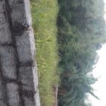  288m2 - 6