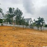  600m2 - 6