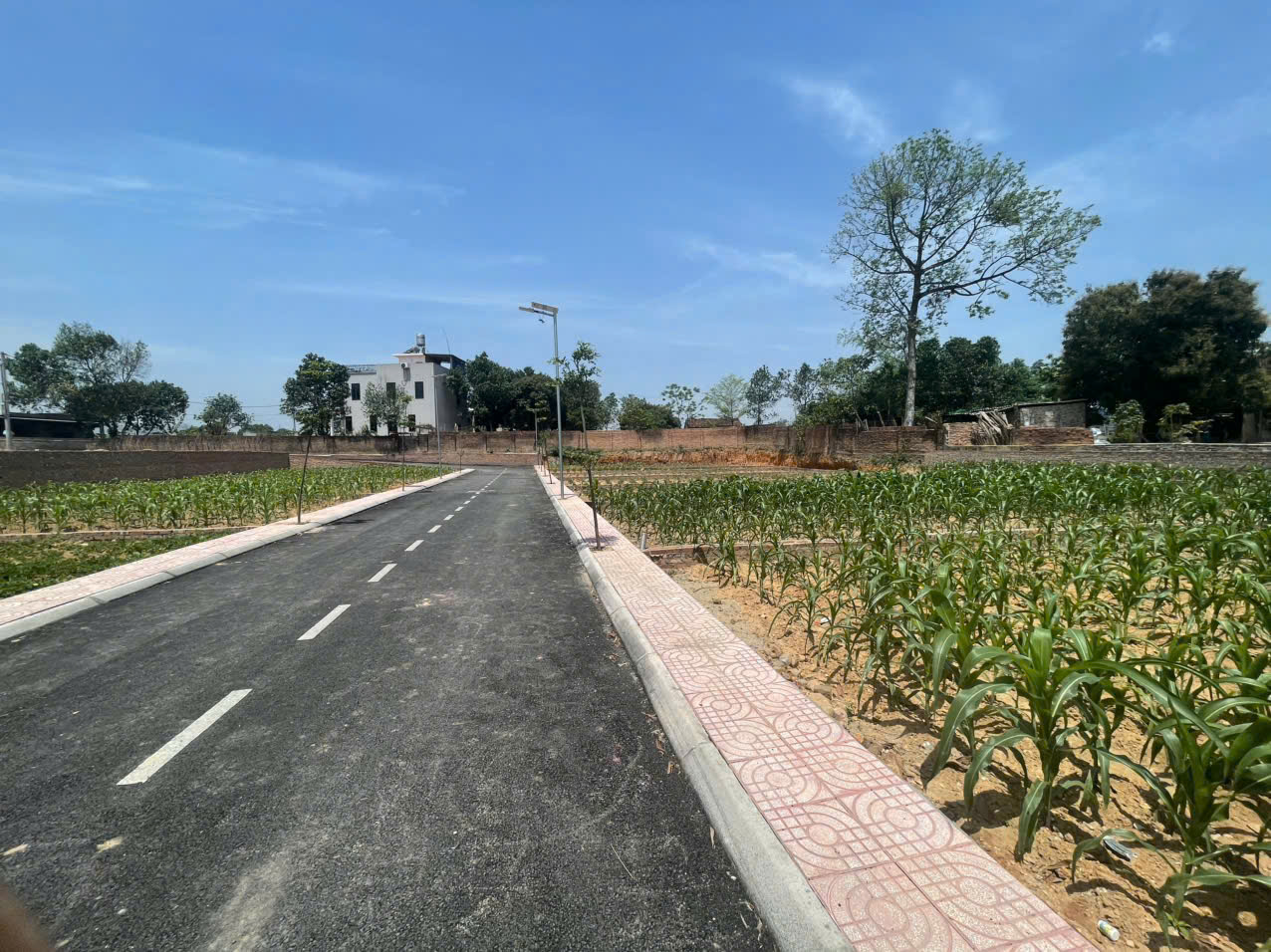 Nhanh tay sở hữu lô đất đẹp tại Khu Phân Lô Kiểu Mẫu, Tiên Chu, Xã Bắc Sơn, Sóc Sơn