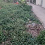  50m2 - 3