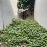  52m2