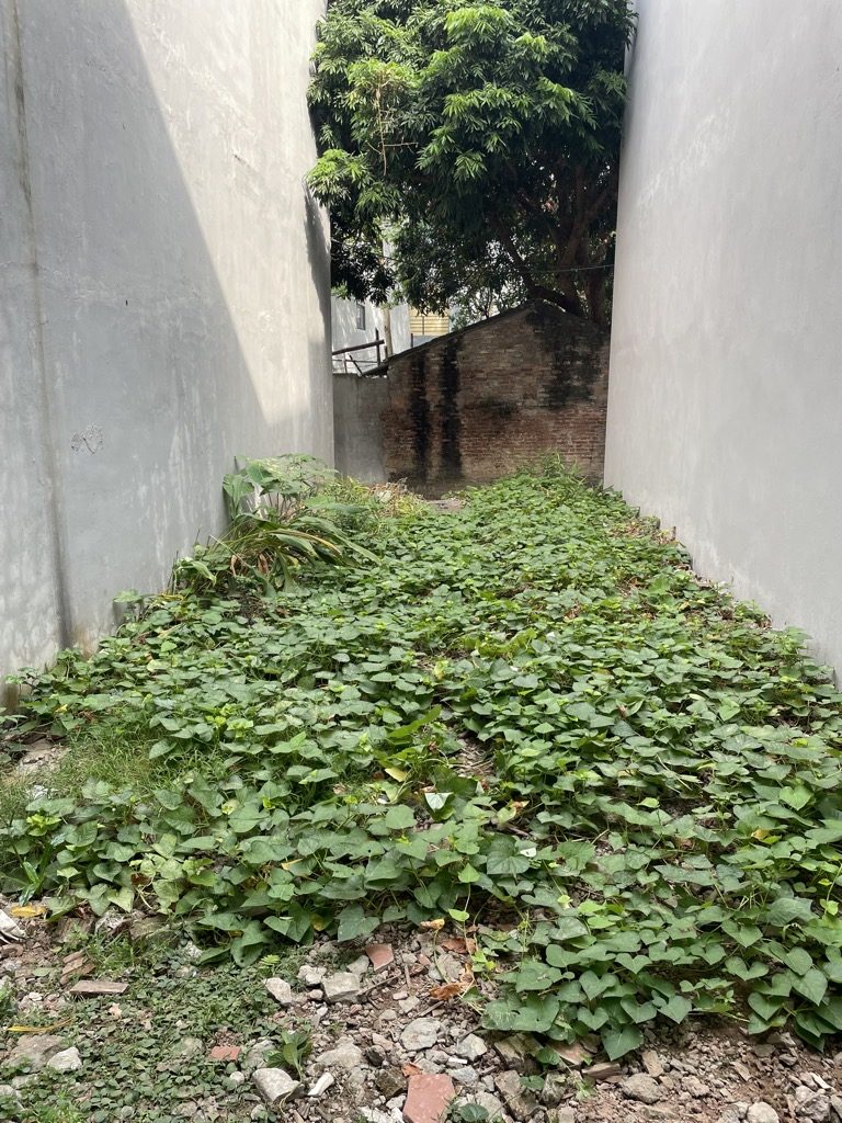 BÁN ĐẤT ĐẶNG XÁ 52M², Nhỉnh 4 tỷ. Ô TÔ TRÁNH XE MÁY, NGÕ THÔNG, ĐẦU TƯ SINH LỜI CAO.