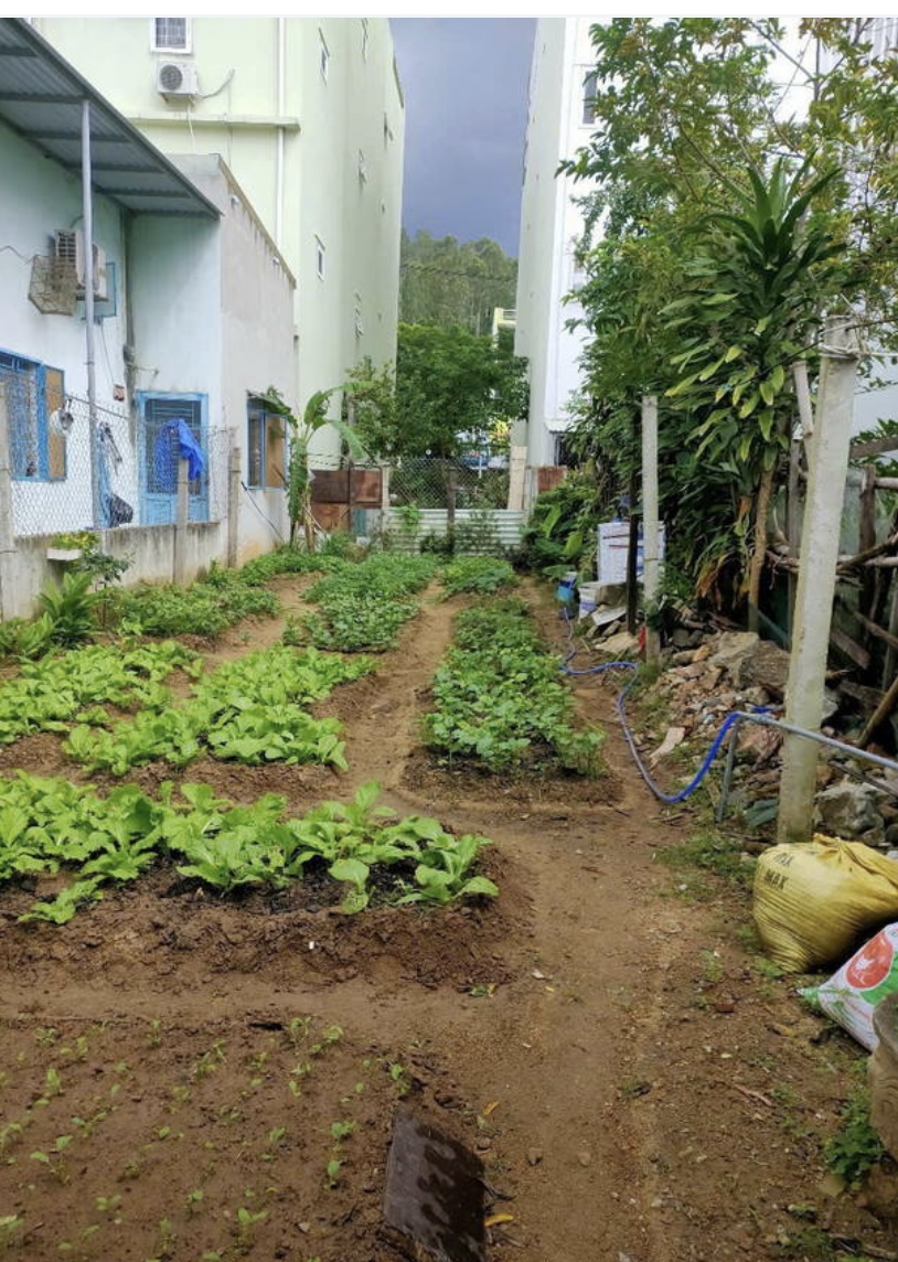 100m2