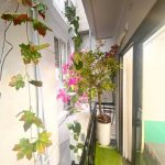  40m2 - 4