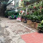  55m2 - 3