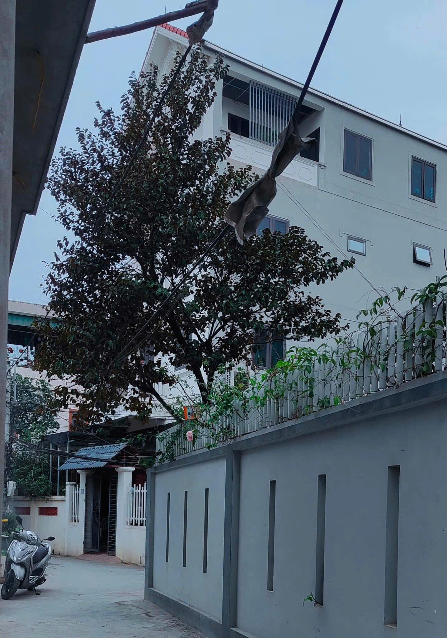 Bán nhà 40m2,5 tầng,thị trấn Trạm Trôi,đường thông, moning đỗ cửa