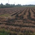  103000m2 - 5