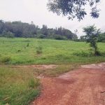  5000000m2 - 4