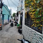  31m2 - 1