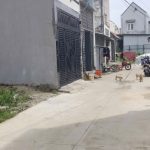  55m2 - 3