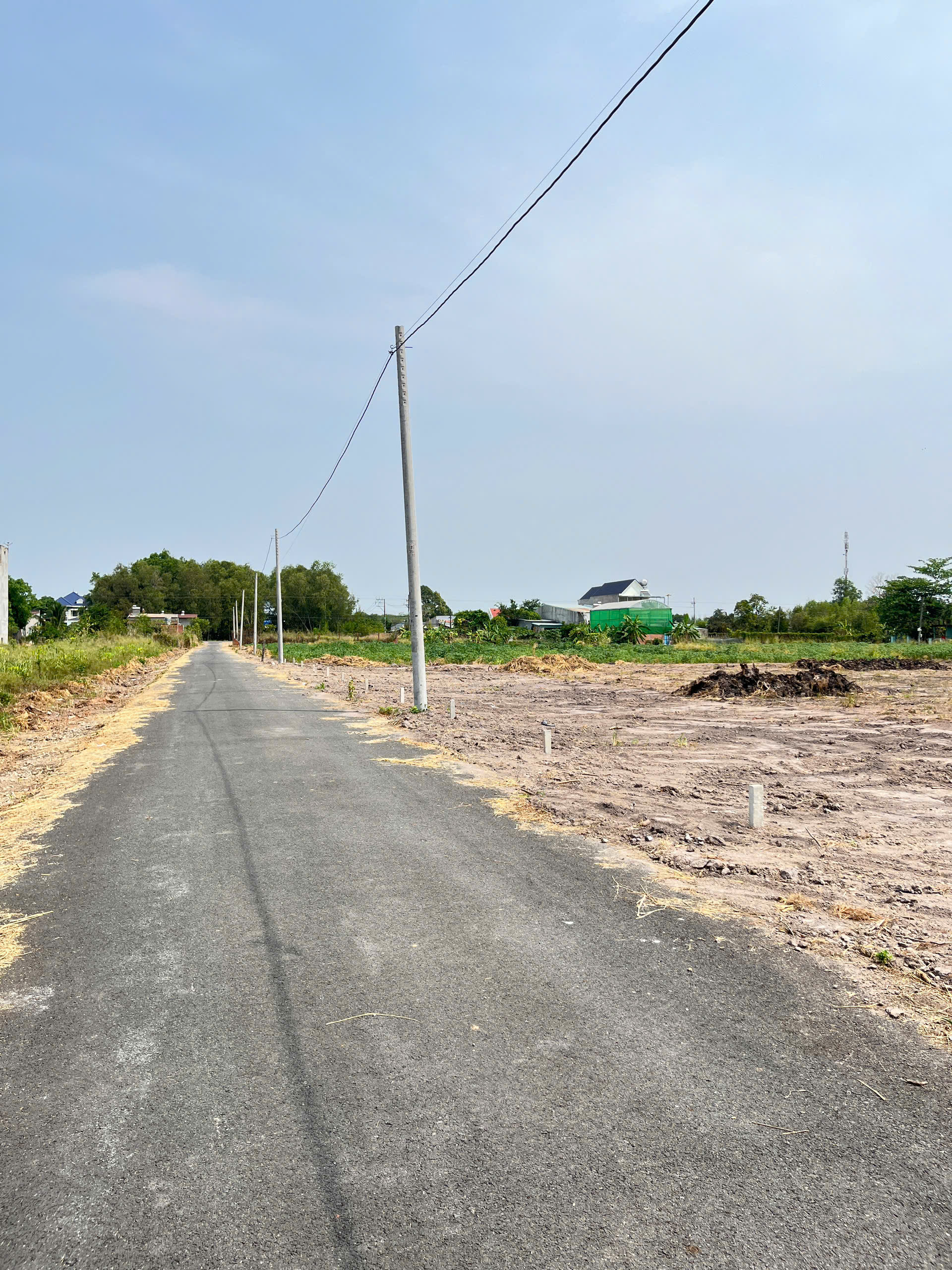 250m2