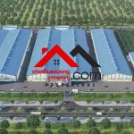  81000m2 - 1