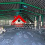  81000m2 - 4