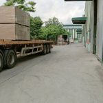  25700m2 - 1