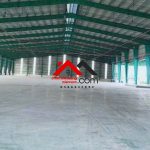  17500m2 - 3