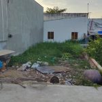  80m2 - 1