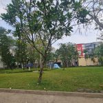  100m2 - 4