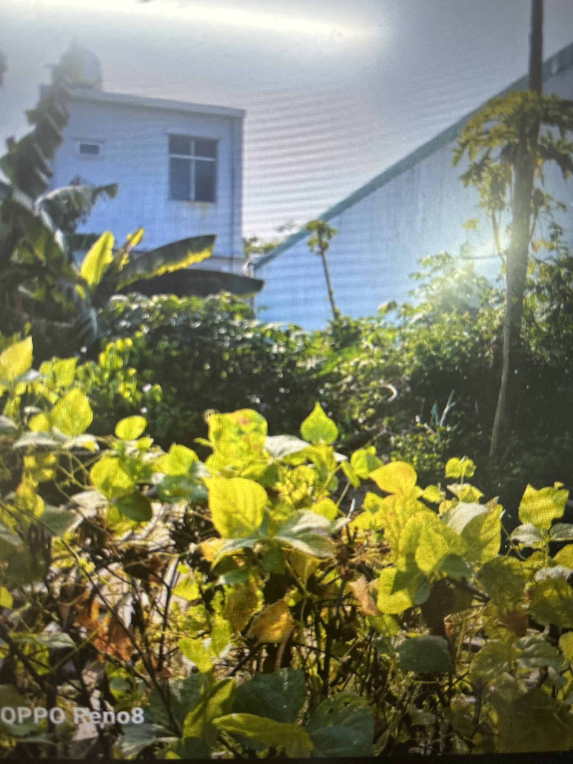 100m2