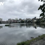 65m2