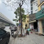  40m2 - 1