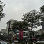  53m2 - 3