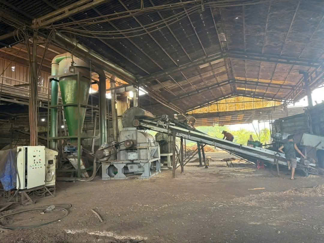 CHO THUÊ XƯỞNG CƯA XẺ VÀ VIÊN NÉN GỖ TẠI CHƠN THÀNH, BÌNH PHƯỚC Giá thuê toàn bộ: 1 tỷ/tháng