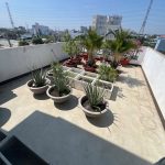  100m2 - 4
