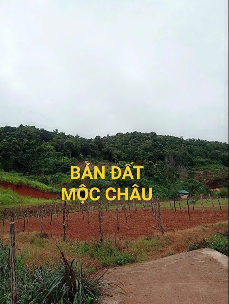 BÁN ĐẤT NGHỈ DƯỠNG, HOMESTAY TẠI MỘC CHÂU – VỊ TRÍ VÀNG, GIÁ SIÊU TỐT! CHỈ 1,5tr/m2