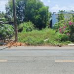  300m2 - 1