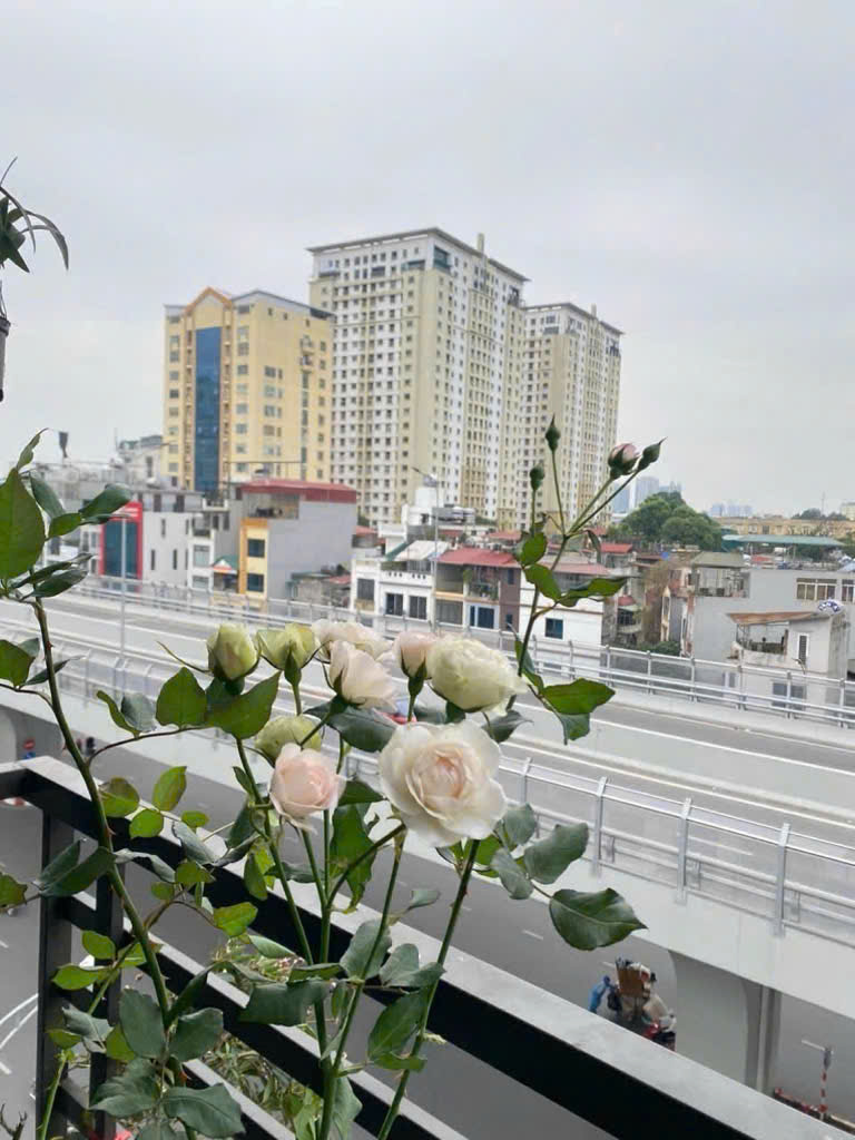 SIÊU HIẾM –MẶT PHỐ MINH KHAI, HAI BÀ TRƯNG NHÀ 7 TẦNG THANGMÁY. -DT:30M2 - MẶT TIỀN TRÊN 6 MÉT DÒNG TIỀN ỔN ĐỊNH VỊ